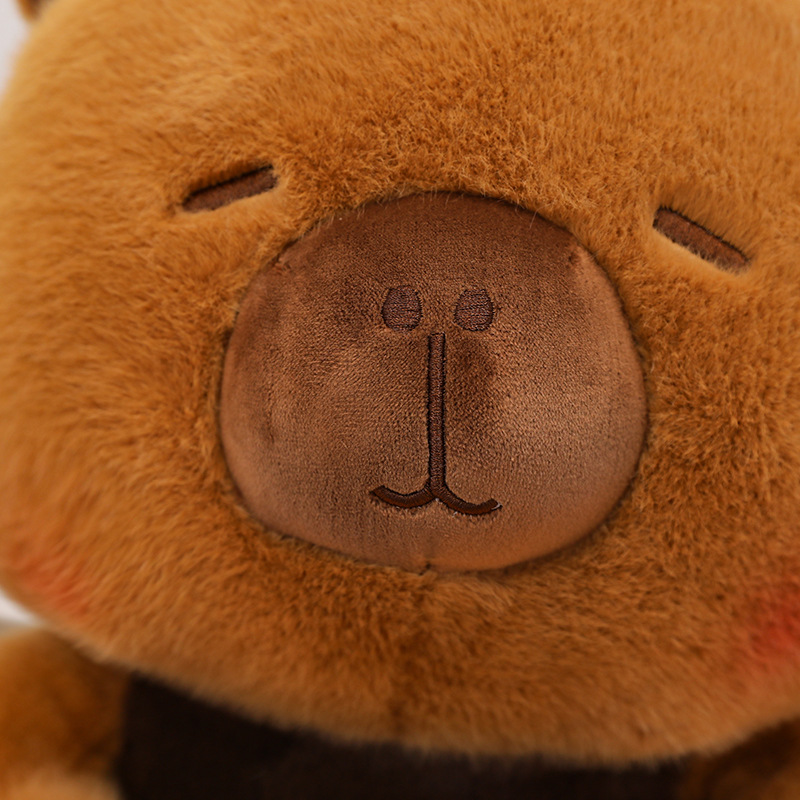New Capybara Plush Toy Stuffed - Best Kids Toys Xmas recensie en prijs