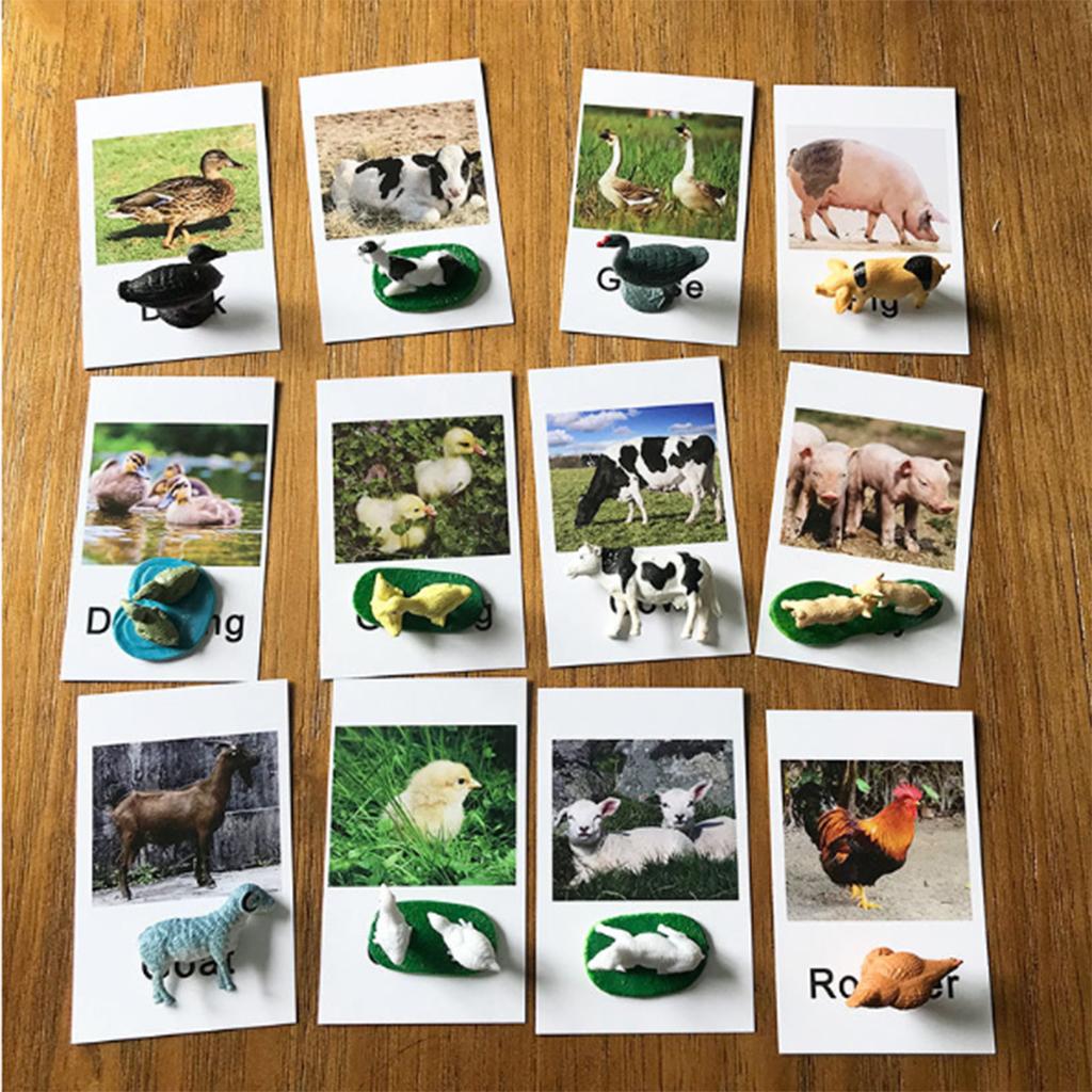 Animal Model Card Set Montesso - Kids Toys In Store recensie en prijs
