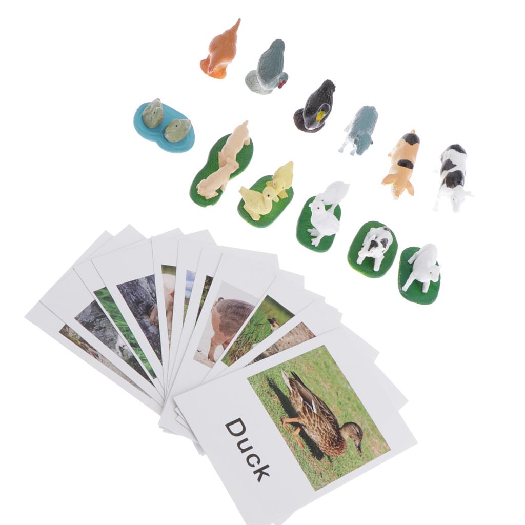 Animal Model Card Set Montesso - Kids Toys In Store recensie en prijs