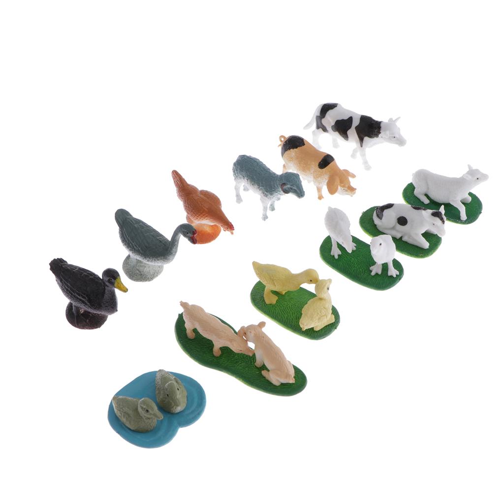 Animal Model Card Set Montesso - Kids Toys In Store recensie en prijs