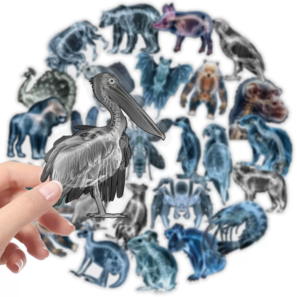 10/56pcs Animal Skeleton Stick - Kids Xray Toys recensie en prijs