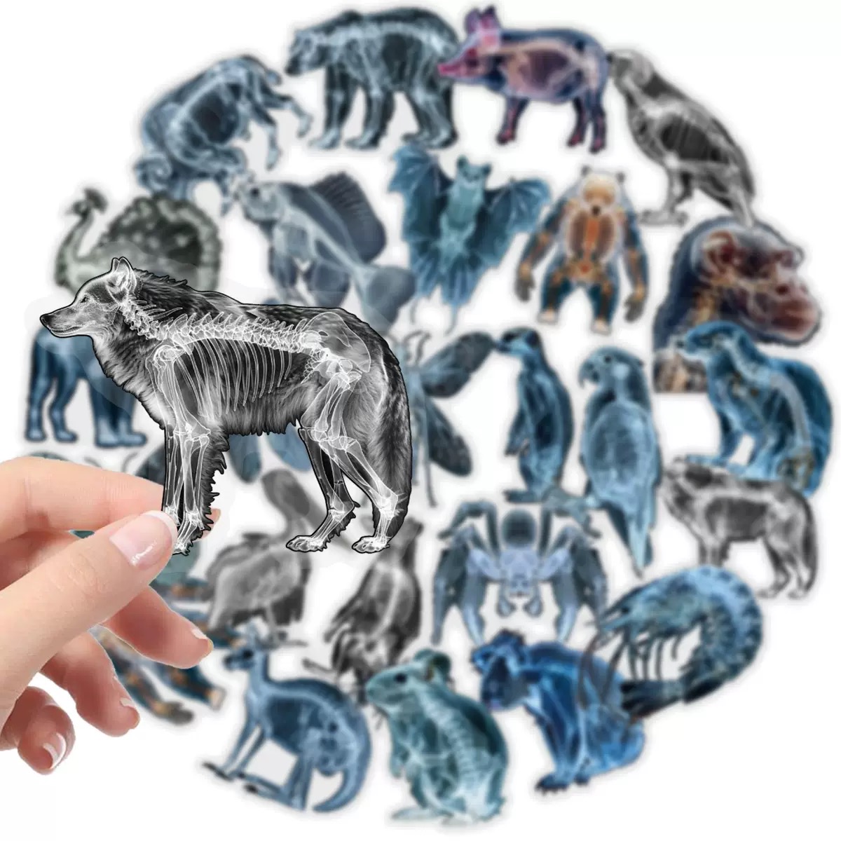 10/56pcs Animal Skeleton Stick - Kids Xray Toys recensie en prijs